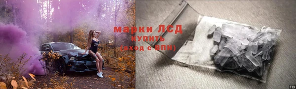 PSILOCYBIN Алексеевка