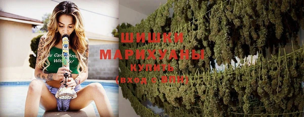 PSILOCYBIN Алексеевка