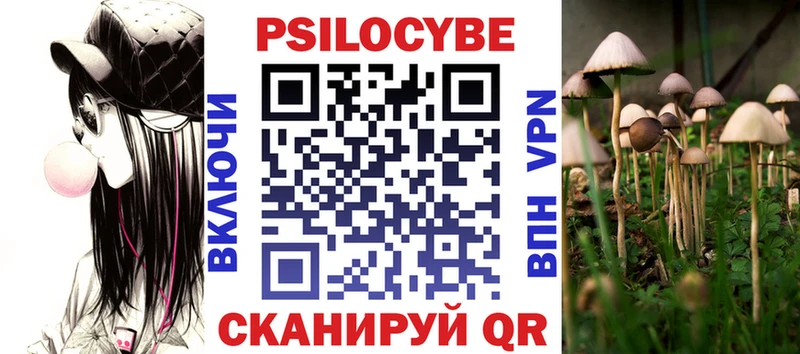 закладки  Орлов  Псилоцибиновые грибы Cubensis 